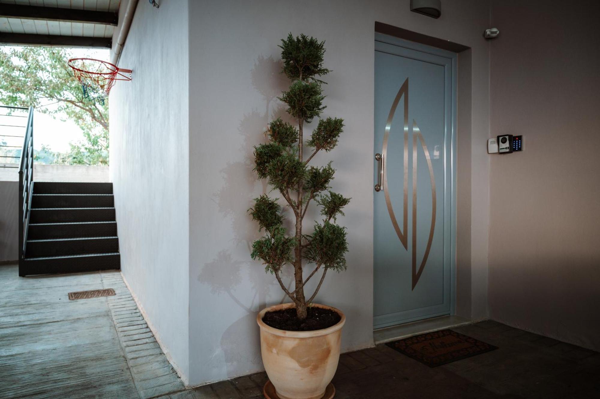 Theo's House